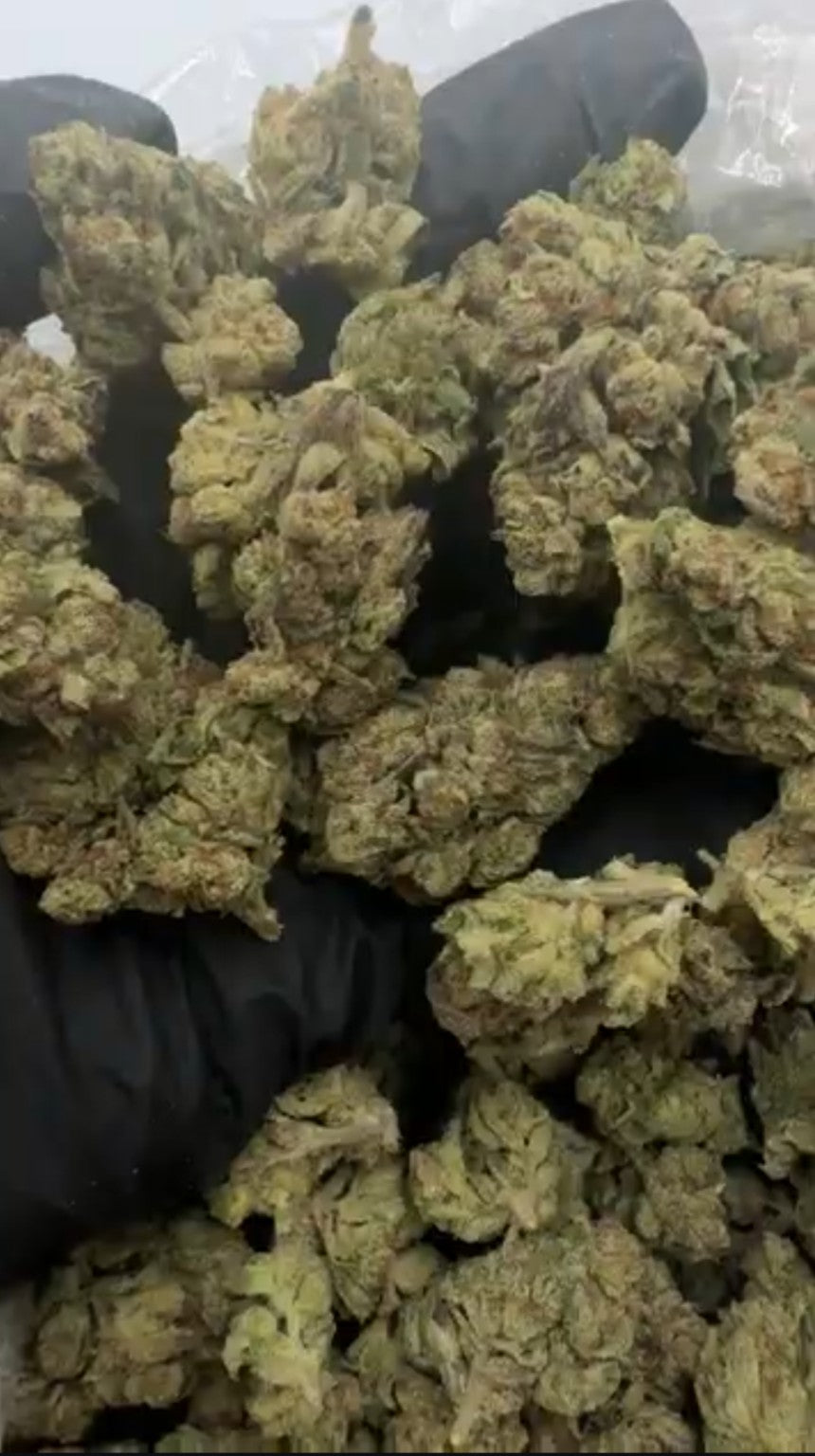 Ceremonial Matcha current supplier photo - bulk flower handful