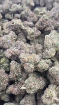 Future Haze Exotic Reserve flower