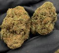 G13 AA whole flower close-up — current supplier lot