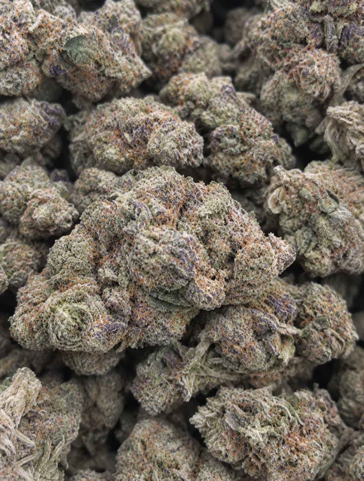 Maui Wowie Exotic Reserve flower
