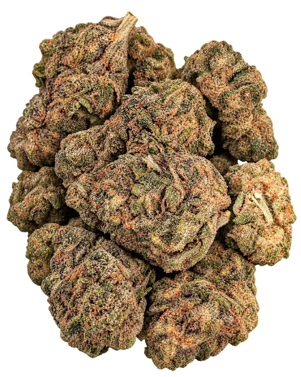 Peanut Butter Breath flower close-up on transparent background