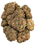 Peanut Butter Breath flower close-up on transparent background