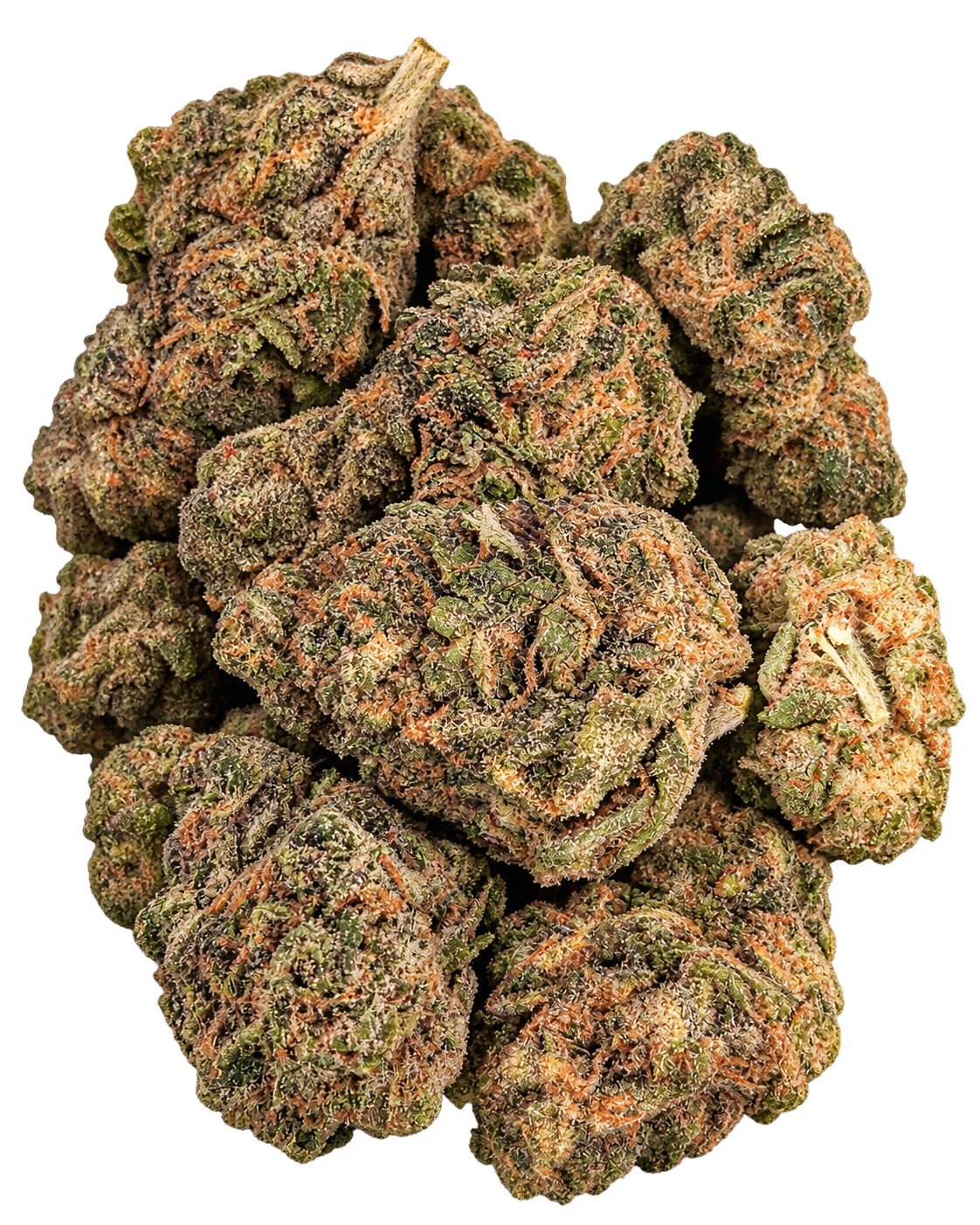 Peanut Butter Breath flower close-up on transparent background