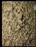 Actual Reserve Blend mixed-strain THCa shake showing flower-heavy texture