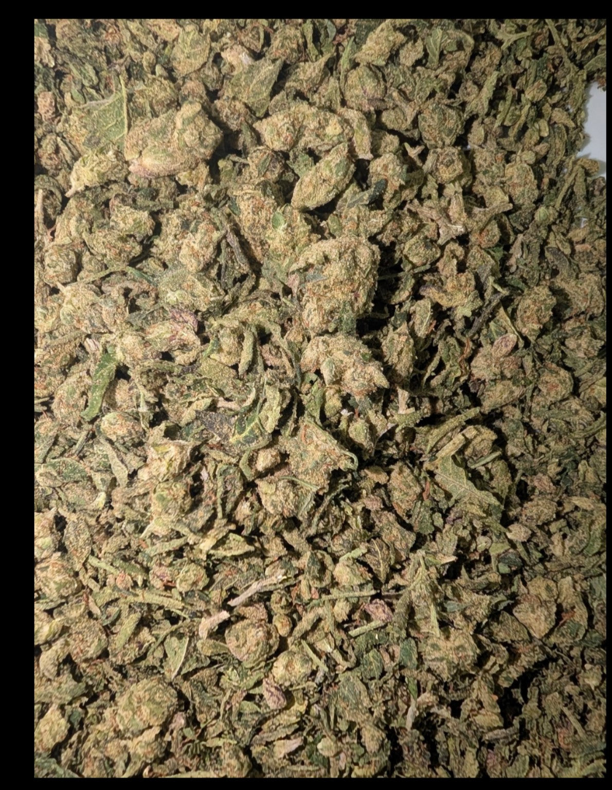 Actual Reserve Blend mixed-strain THCa shake showing flower-heavy texture