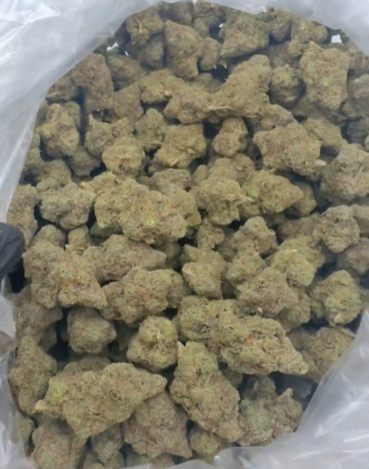 Zoap wholesale flower